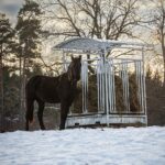 Kŕmidlo s mriežkovou bránou pre kone, 8 otvorov - Image 5